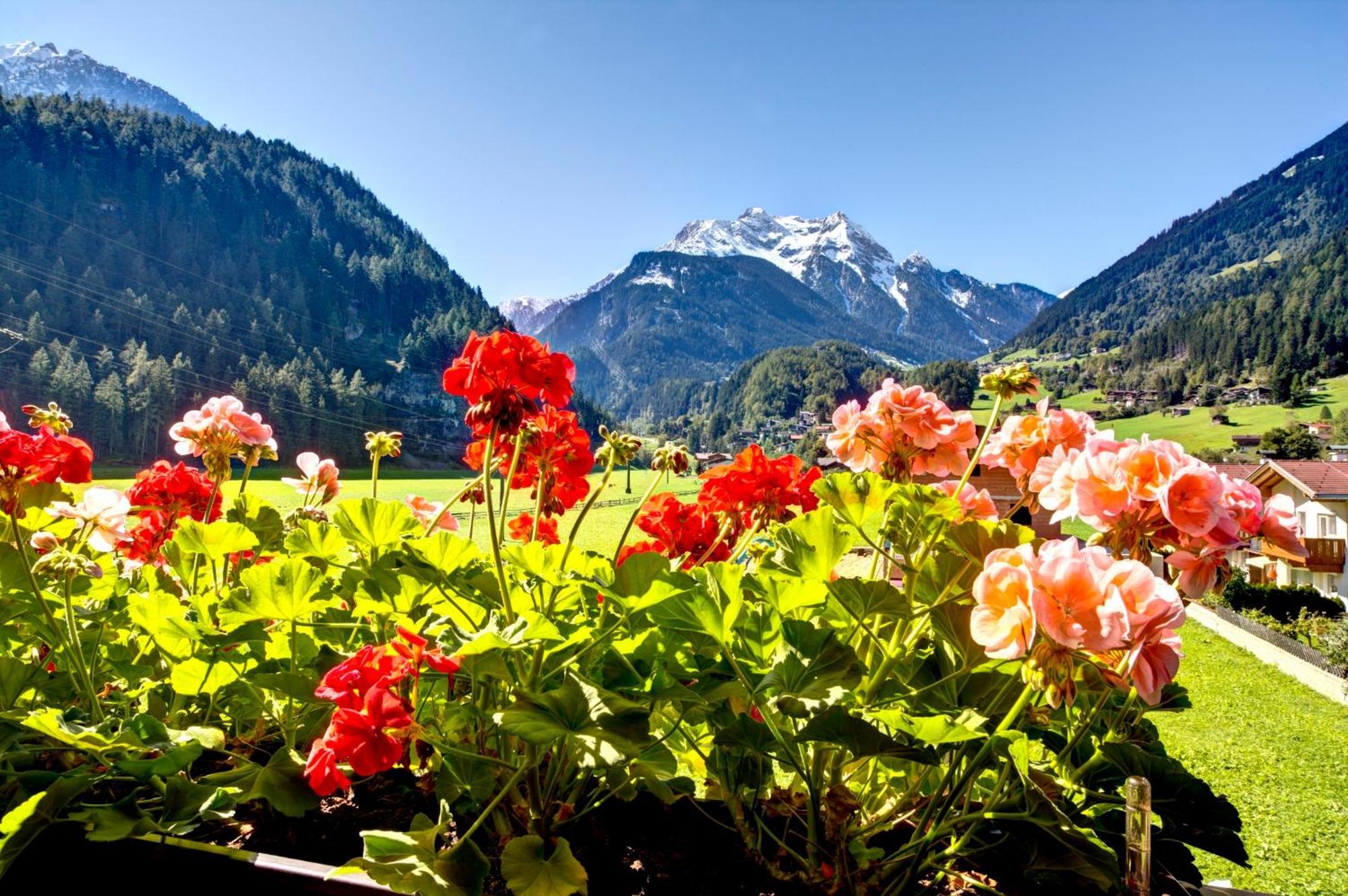 Gaestehaus Oblasser Mayrhofen Zewnętrze zdjęcie